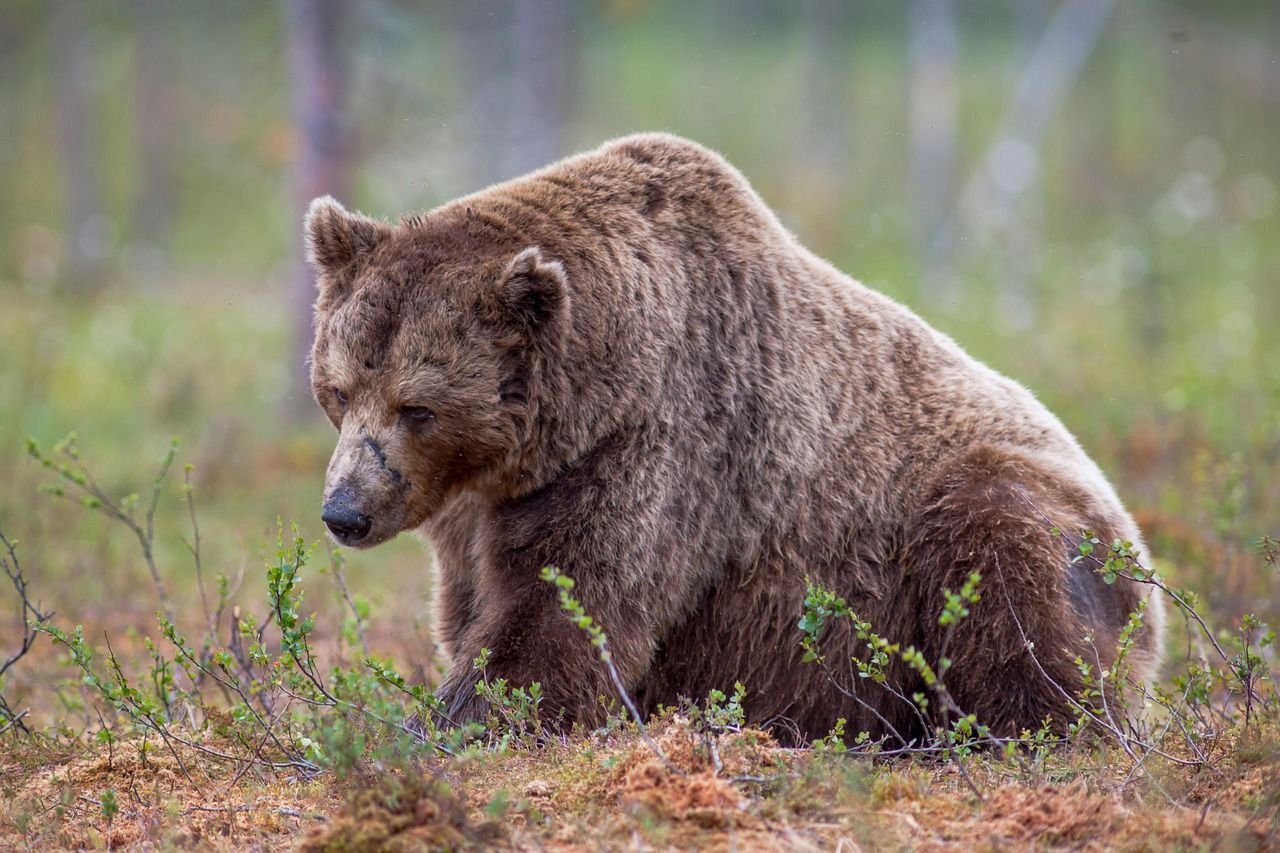 10x Research Recommends Bearish Bet on Bitcoin-Holder MicroStrategy as MSTR Diverges from BTC’s Bull Run