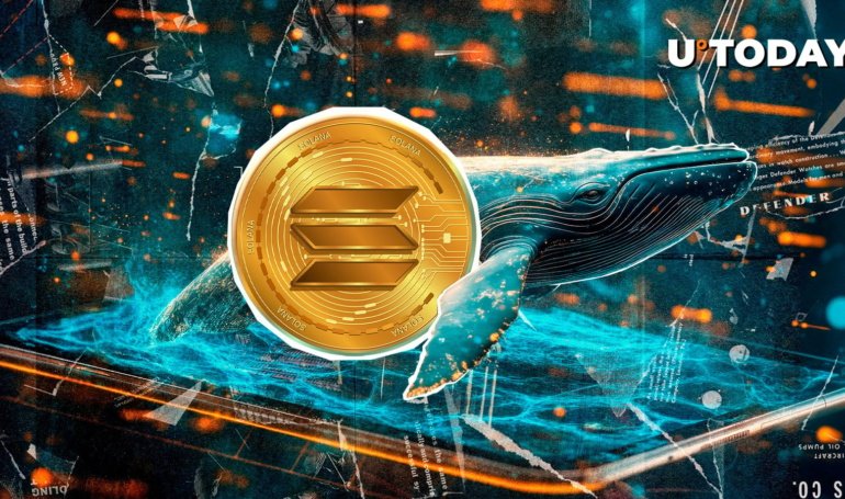 1,023,918 in Solana (SOL) Moved Mysteriously as Price Falls Deeper