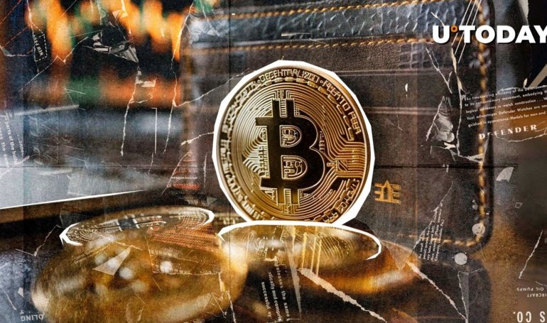 344,620 New Bitcoin Wallets, Mega FOMO Just Entered Market