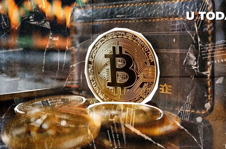 344,620 New Bitcoin Wallets, Mega FOMO Just Entered Market