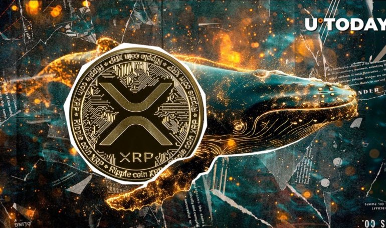 ,536,183 XRP Transfer Stuns Major U.S. Crypto Exchange