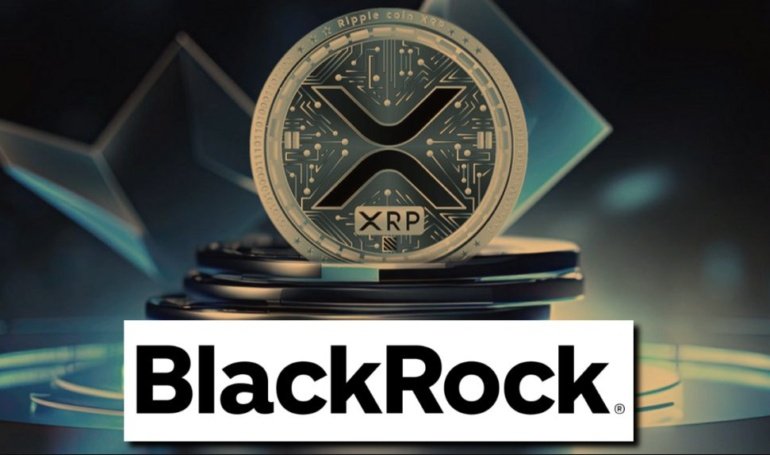 M Bet Signals  Price Surge