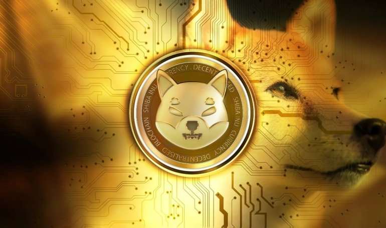 79.89% Crash In 24 Hours: What’s Going On With The Shiba Inu Burn?