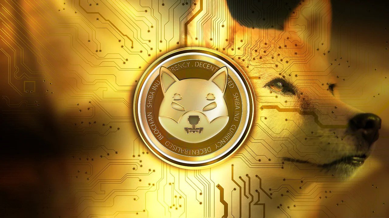 79.89% Crash In 24 Hours: What’s Going On With The Shiba Inu Burn?