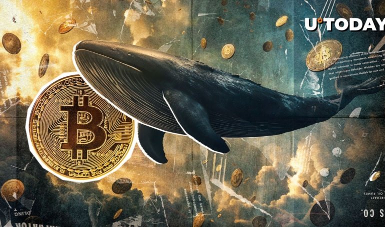 0 Million Bitcoin Long Whale Doubles Down on His BTC Bet: Details