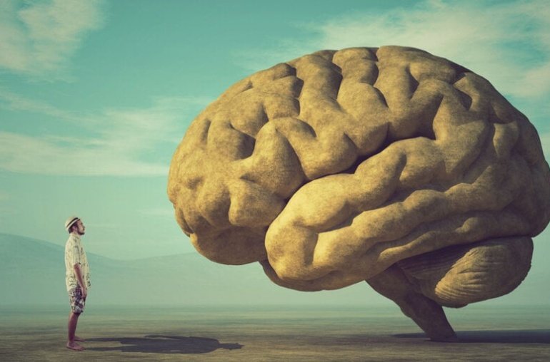 Bigger Brains Lead to Longer Lifespans, Says New Study