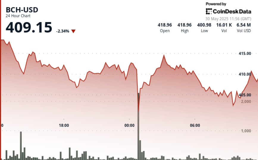 Bitcoin Cash (BCH) Slumps 4% as 0 Support Faces Heavy Selling Pressure
