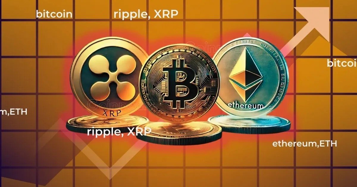 Bitcoin Tops 309K New Wallets a Day, Ethereum Follows, XRP Lags