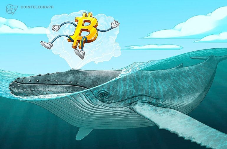 Bitcoin whales keep buying as BTC price dip targets include K
