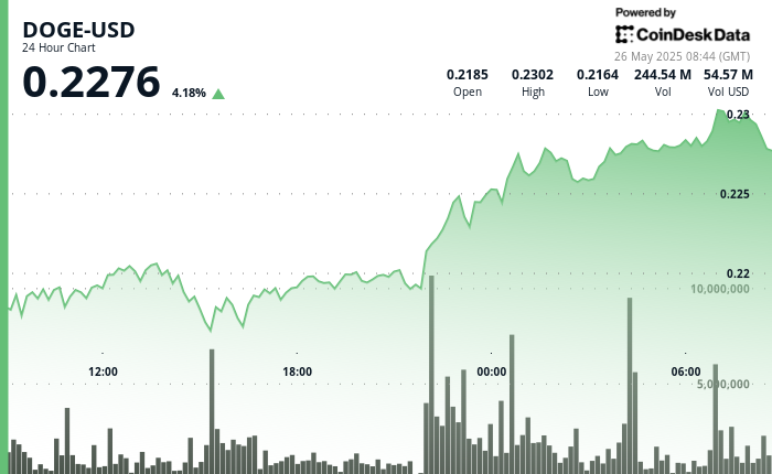 DOGE Climbs as Whale Activity Boosts Bullish Momentum