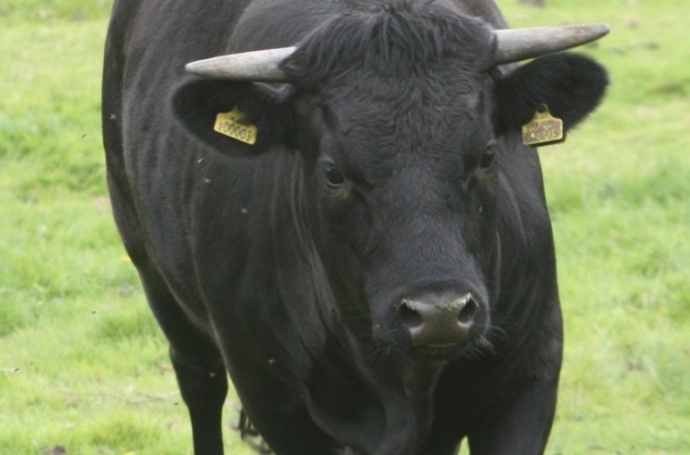 EToro (ETOR) Stock Surges 29% on First Day of Trading After IPO