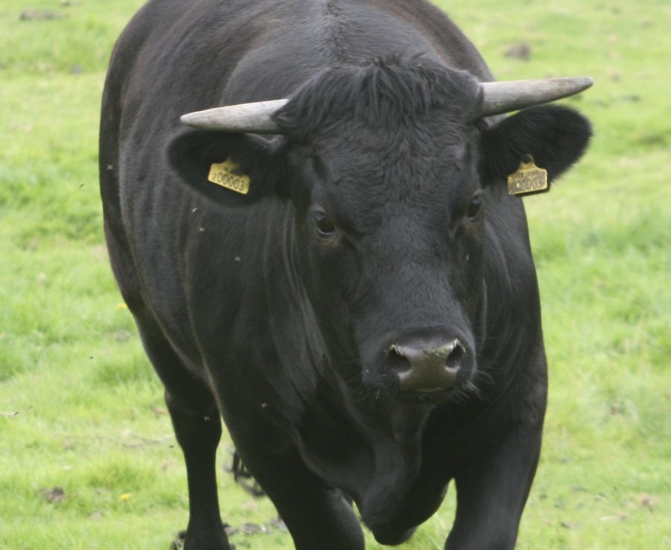 EToro (ETOR) Stock Surges 29% on First Day of Trading After IPO