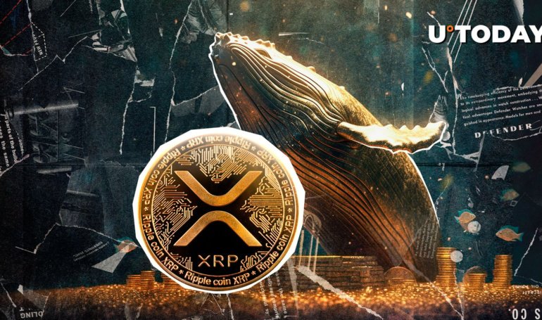Giant Whale Makes  Million Bet on XRP