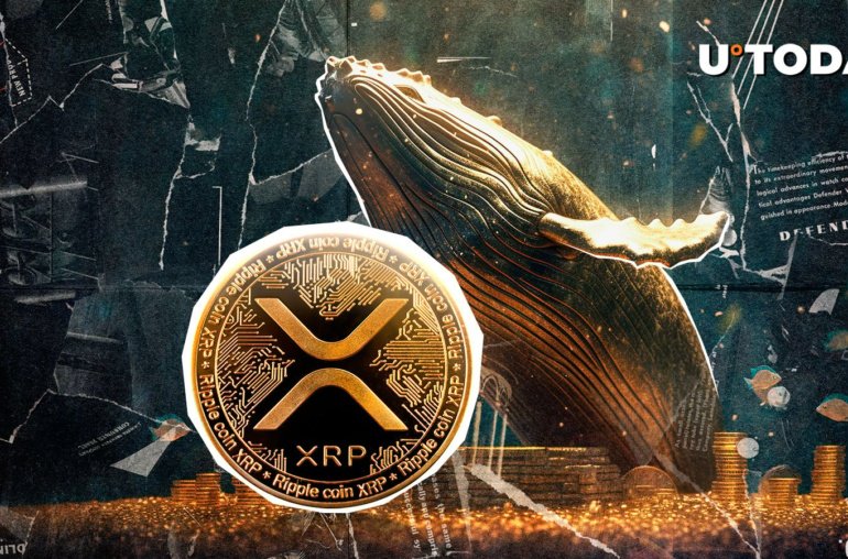 Giant Whale Makes  Million Bet on XRP
