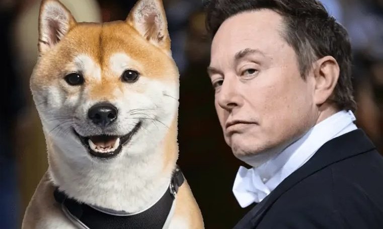 How K in Dogecoin (DOGE) Got Rekt