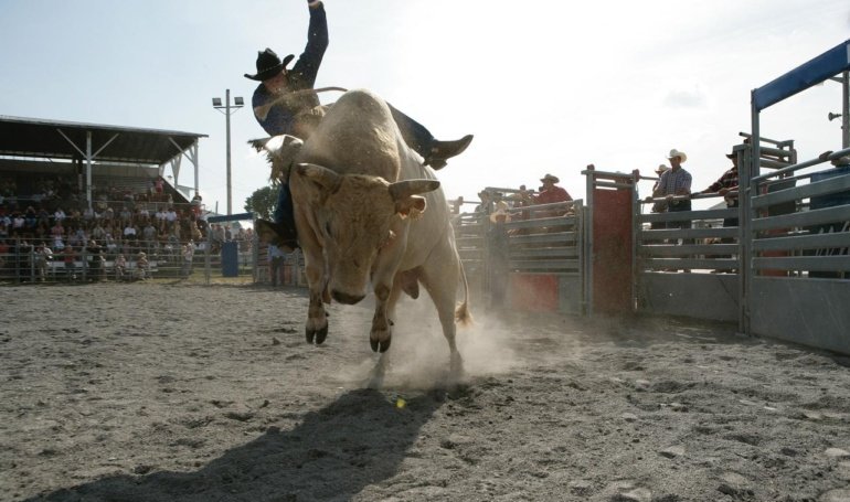 Is Bitcoin Bull Run Back? Daily RSI Shows Only Mild Bullish Momentum