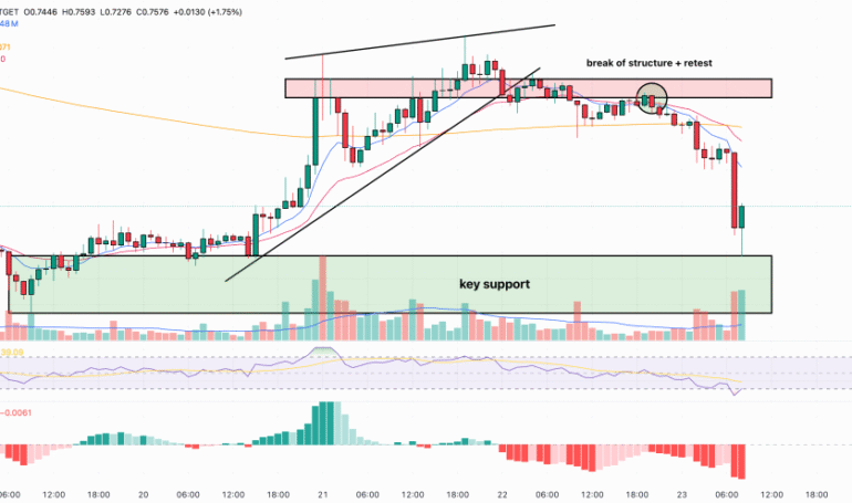 Is Pi Network About to Miss the Bull Run? Insider Selling Raises Major Red Flags (Pi Network Price Prediction)