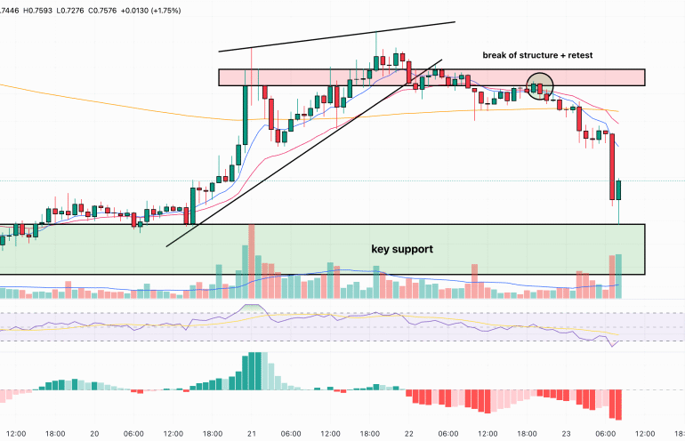 Is Pi Network About to Miss the Bull Run? Insider Selling Raises Major Red Flags (Pi Network Price Prediction)