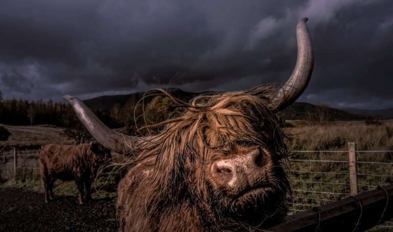 KULR Boosts Bitcoin Treasury to 800 BTC