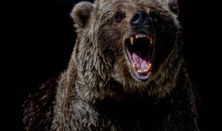 On-Chain Metrics Point to Potential Double Top