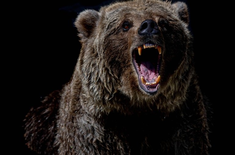 On-Chain Metrics Point to Potential Double Top