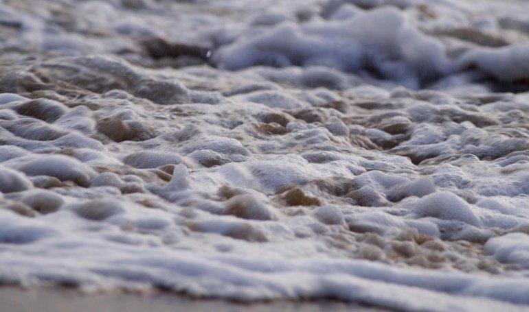 Ripple, Dogecoin Bets Surge in Sign of Speculative Froth