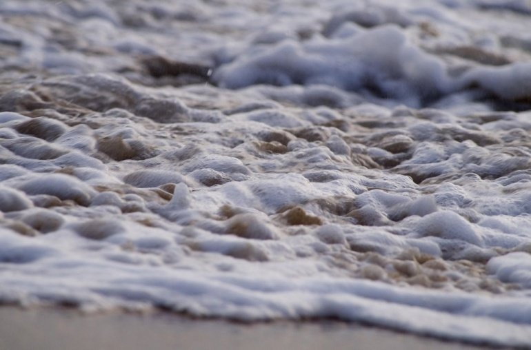 Ripple, Dogecoin Bets Surge in Sign of Speculative Froth