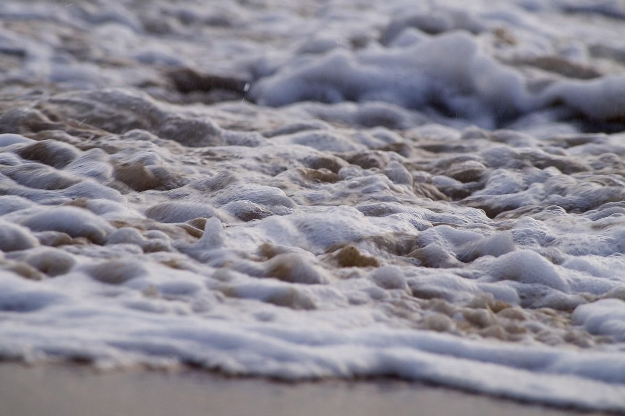 Ripple, Dogecoin Bets Surge in Sign of Speculative Froth