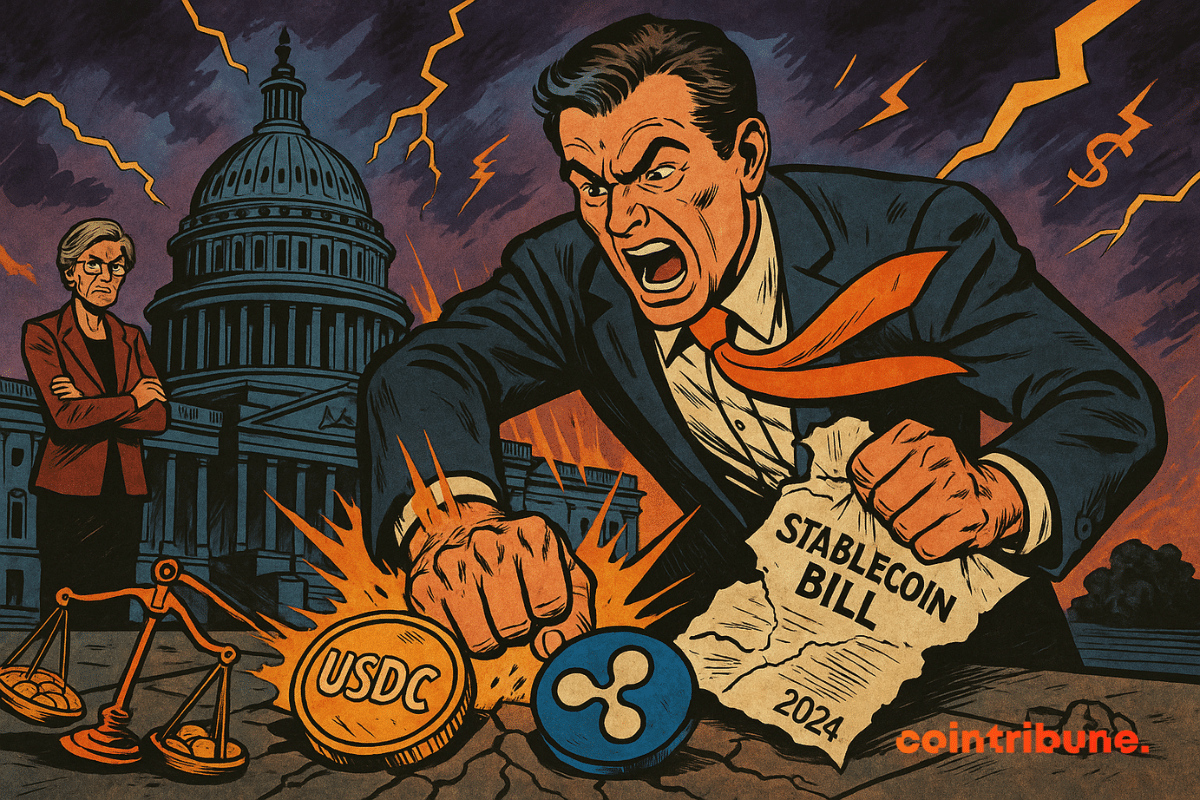 Ripple’s Legal Officer Slams Senator Warren Over Stablecoin Bill Opposition