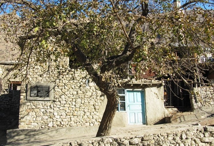 Russian Power Engineers Develop New Solutions to Hunt Illegal Crypto Miners