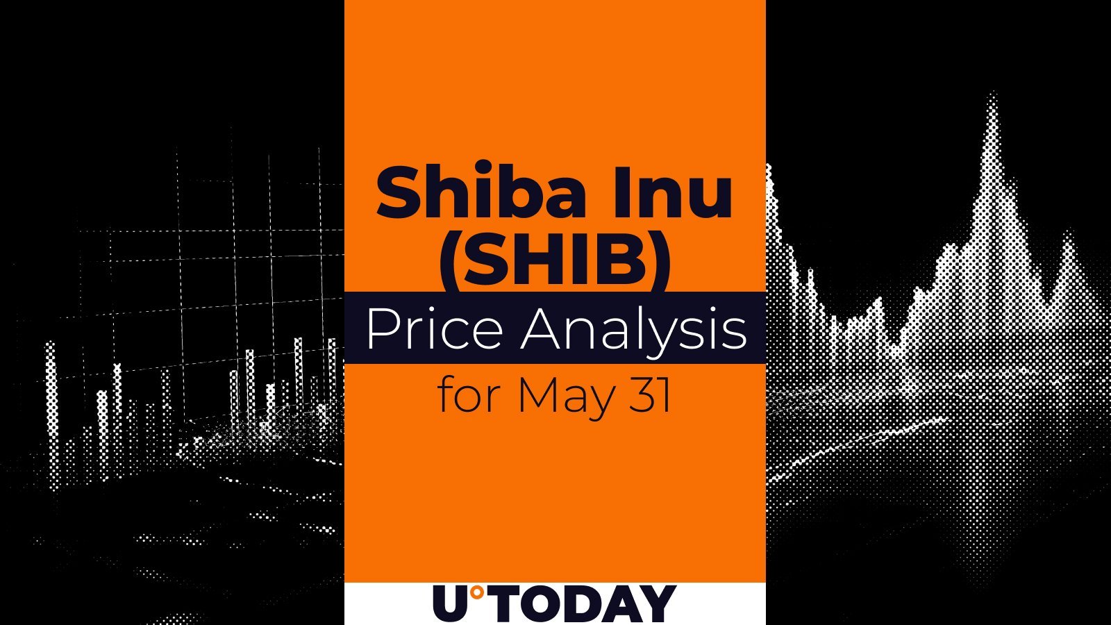 SHIB Price Prediction for May 31
