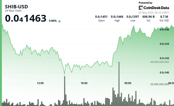 $SHIB Stages Remarkable Recovery After Mid-Day Sell-Off $SHIB Stages Remarkable Recovery After Mid-Day Sell-Off