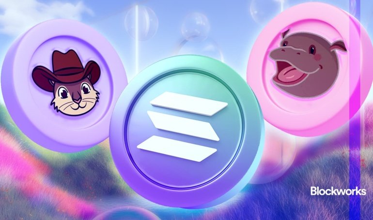 SOL is up and memes are back