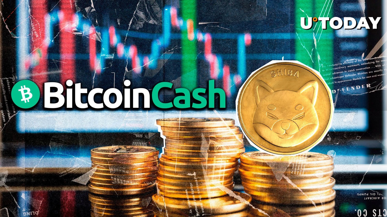 Shiba Inu (SHIB) Just Dethroned Bitcoin Cash