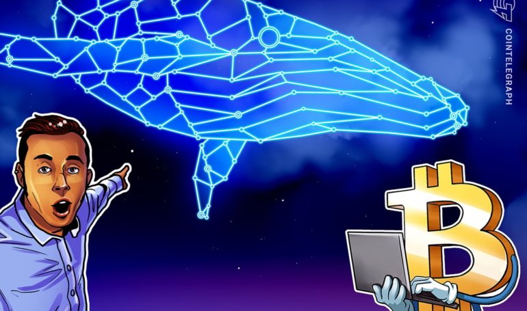 Spot Bitcoin ETF inflows fall, but BTC whale activity points to bull market acceleration