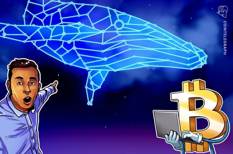 Spot Bitcoin ETF inflows fall, but BTC whale activity points to bull market acceleration