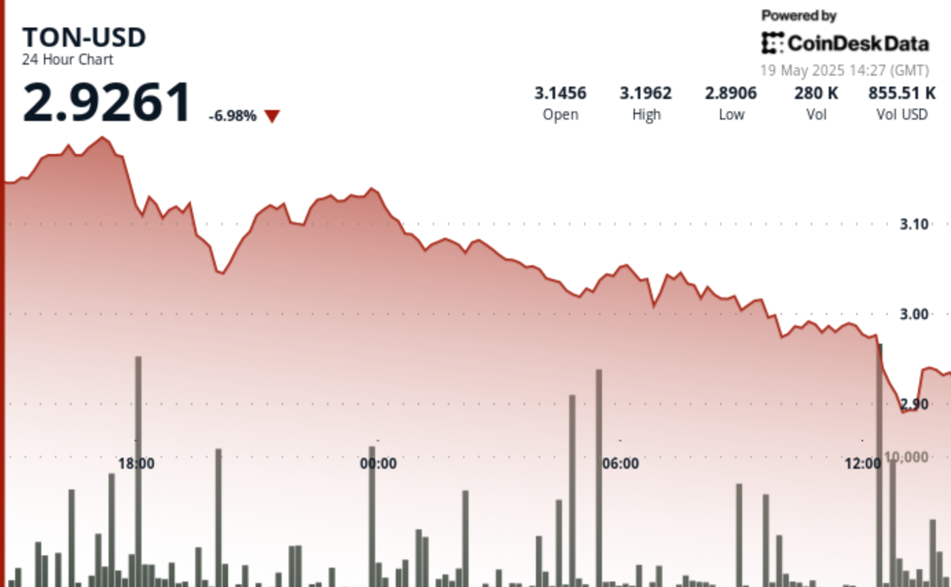 Toncoin (TON) Crashes Below  After 8% Sell-Off