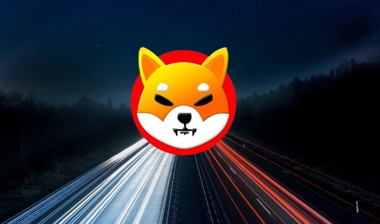 What Will Shiba Inu Be Worth 75 Years From Today in 2100?