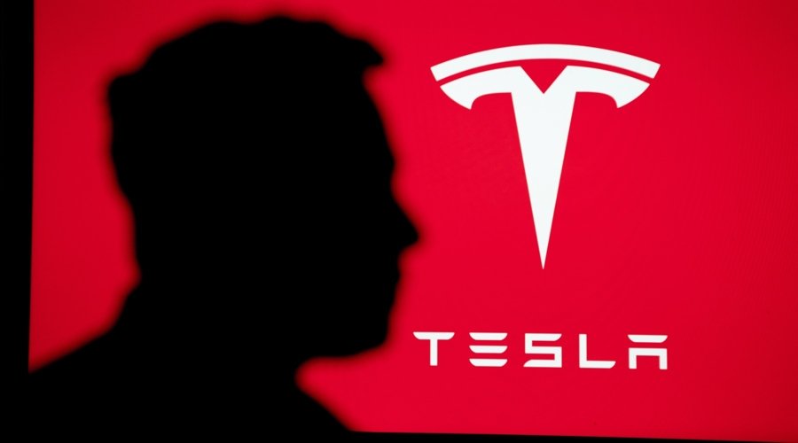 Why Is Tesla Stock Up Today? Cathie Wood Predicts 800% Surge in TSLA Shares