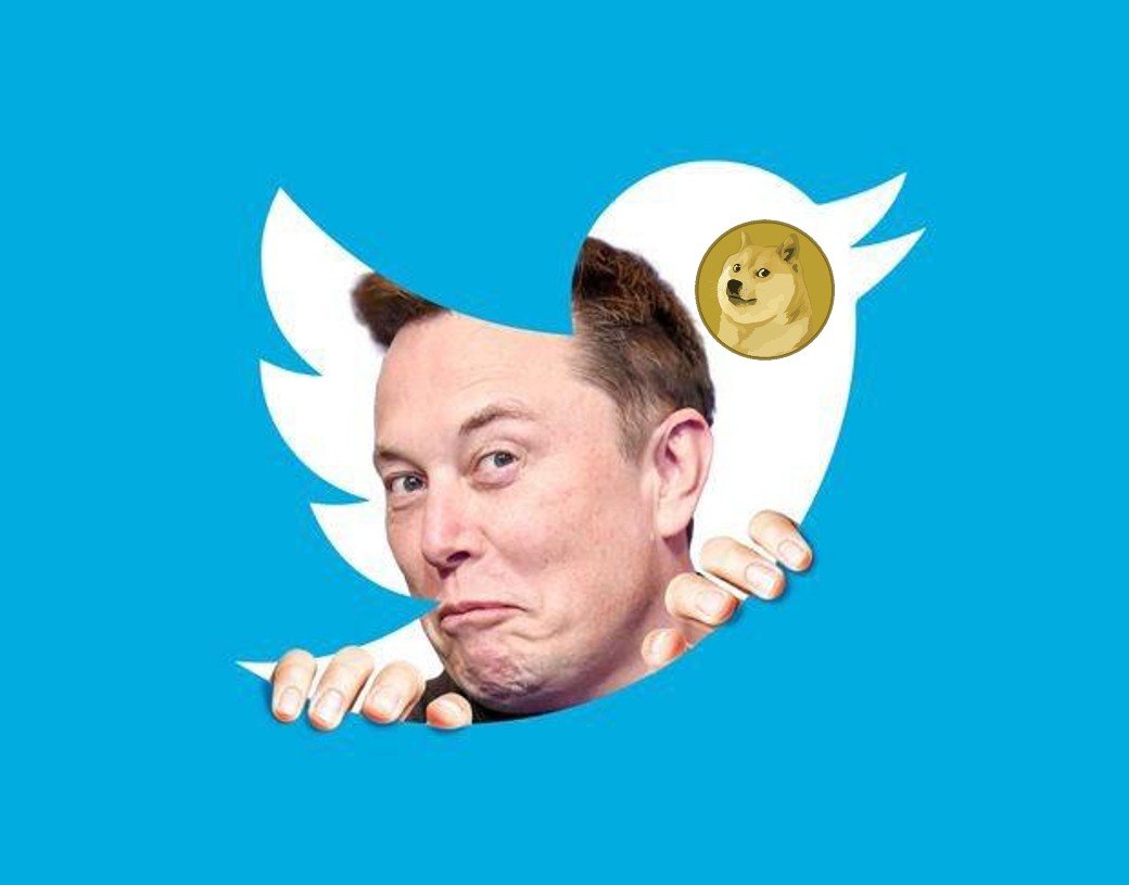 Will Elon Musk Add Dogecoin (DOGE) On X Money?