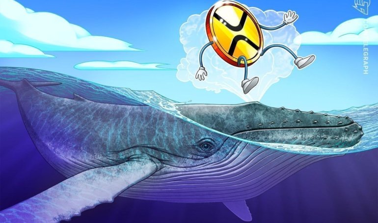 XRP whale flow and technical setup hint at 40% price boom next