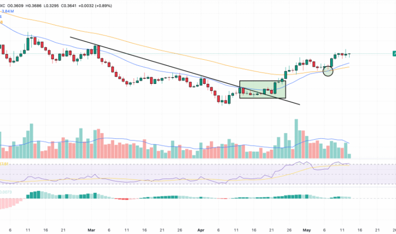 ai16z Price Prediction: Is ai16z on the Road to  This Month?
