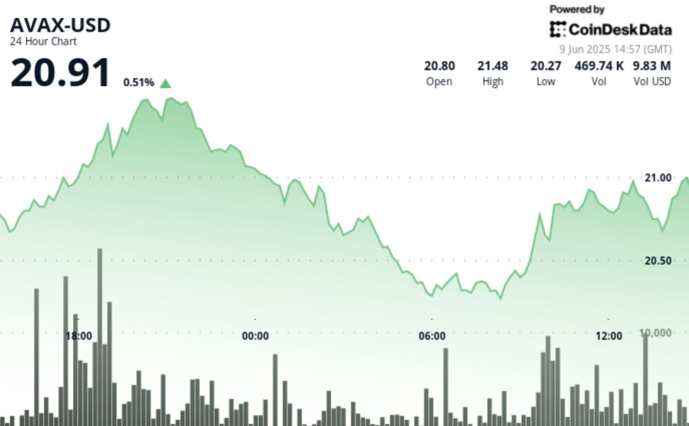 AVAX Forms Critical Short-Term Support at .25 Level