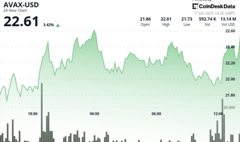 AVAX Rises 4% as  Support Zone Holds