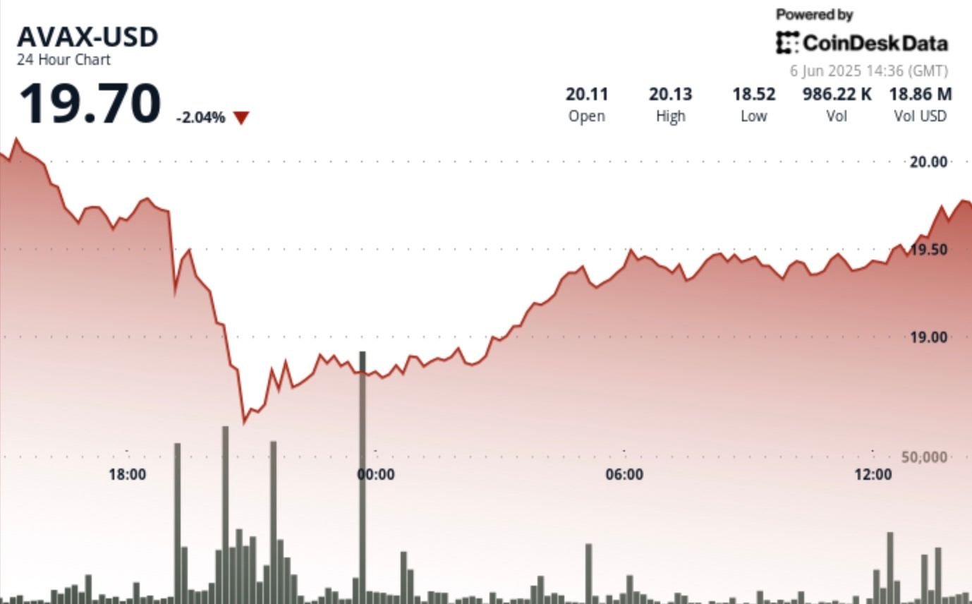 AVAX Surges 6% After Musk/Trump Dispute Sell-Off