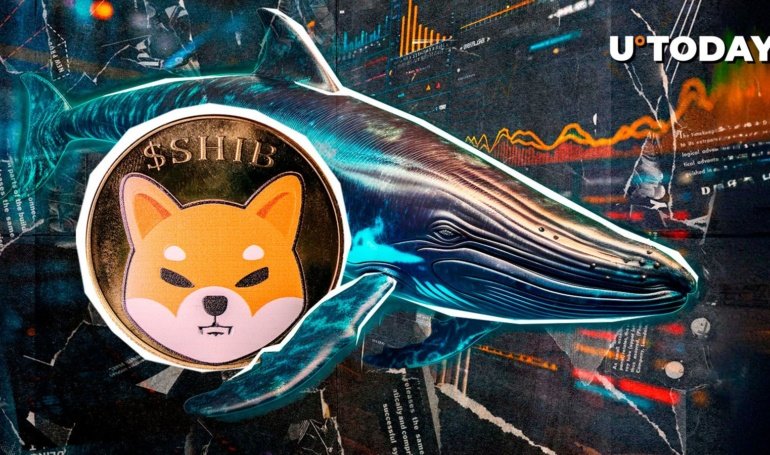 Almost Zero? Shiba Inu Whale Inflows Show Surprising Trend