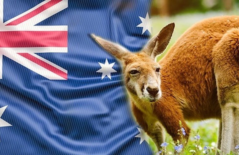 Australia’s Scam Losses Jump Nearly 30% Despite Fewer Reports