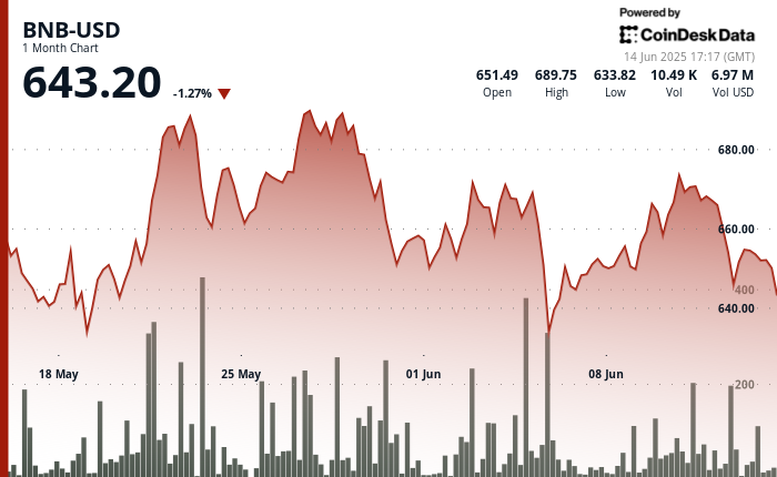 BNB Price Shows Resilience After Israel-Iran Clash Sparks Risk Asset Flight