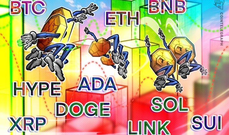 BTC, ETH, XRP, BNB, SOL, DOGE, ADA, HYPE, SUI, LINK