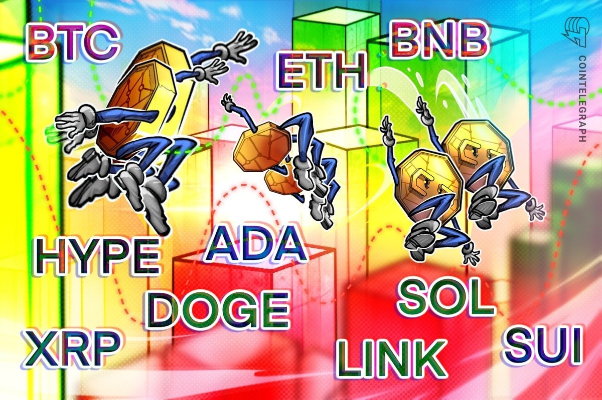 BTC, ETH, XRP, BNB, SOL, DOGE, ADA, HYPE, SUI, LINK